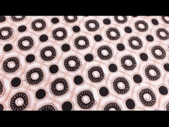 Os laços solúveis em água conservados em estoque maciços aparam a tela da guarnição do laço do bordado da guipura